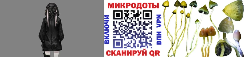 Галлюциногенные грибы Cubensis  Туймазы 