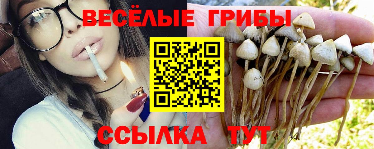 Галлюциногенные грибы Magic Shrooms  Галлюциногенные грибы Psilocybe  Туймазы  Вход с VPN 